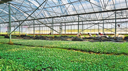 20210831_162004_726067.jpg 20210831_162004_726067.jpg